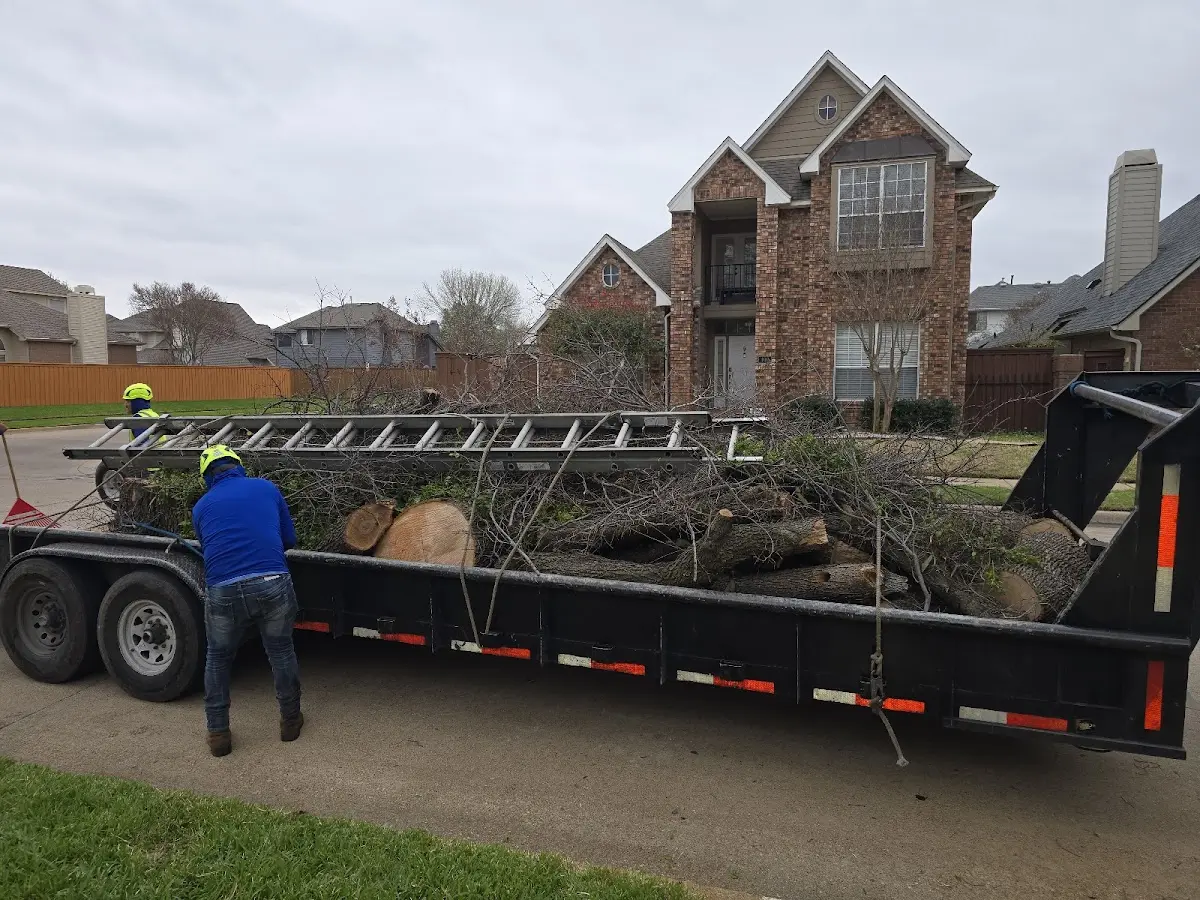 Expert Tree Removal with proper safety equipment in Bethlehem